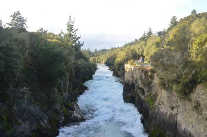 10387404_10152471699053928_3945125685614807012_n